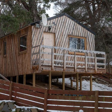 Pine Marten Bar Glenmore Treehouse Aviemore Extérieur photo