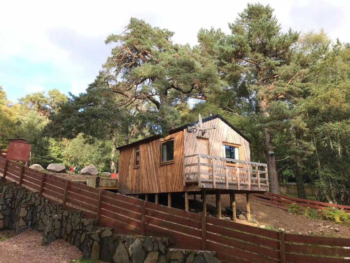 Pine Marten Bar Glenmore Treehouse Aviemore Extérieur photo