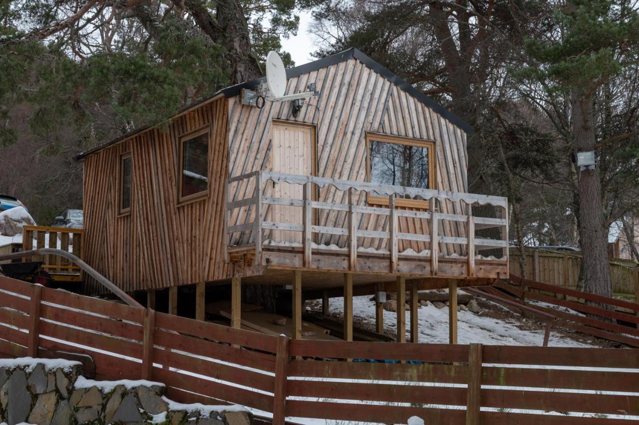 Pine Marten Bar Glenmore Treehouse Aviemore Extérieur photo