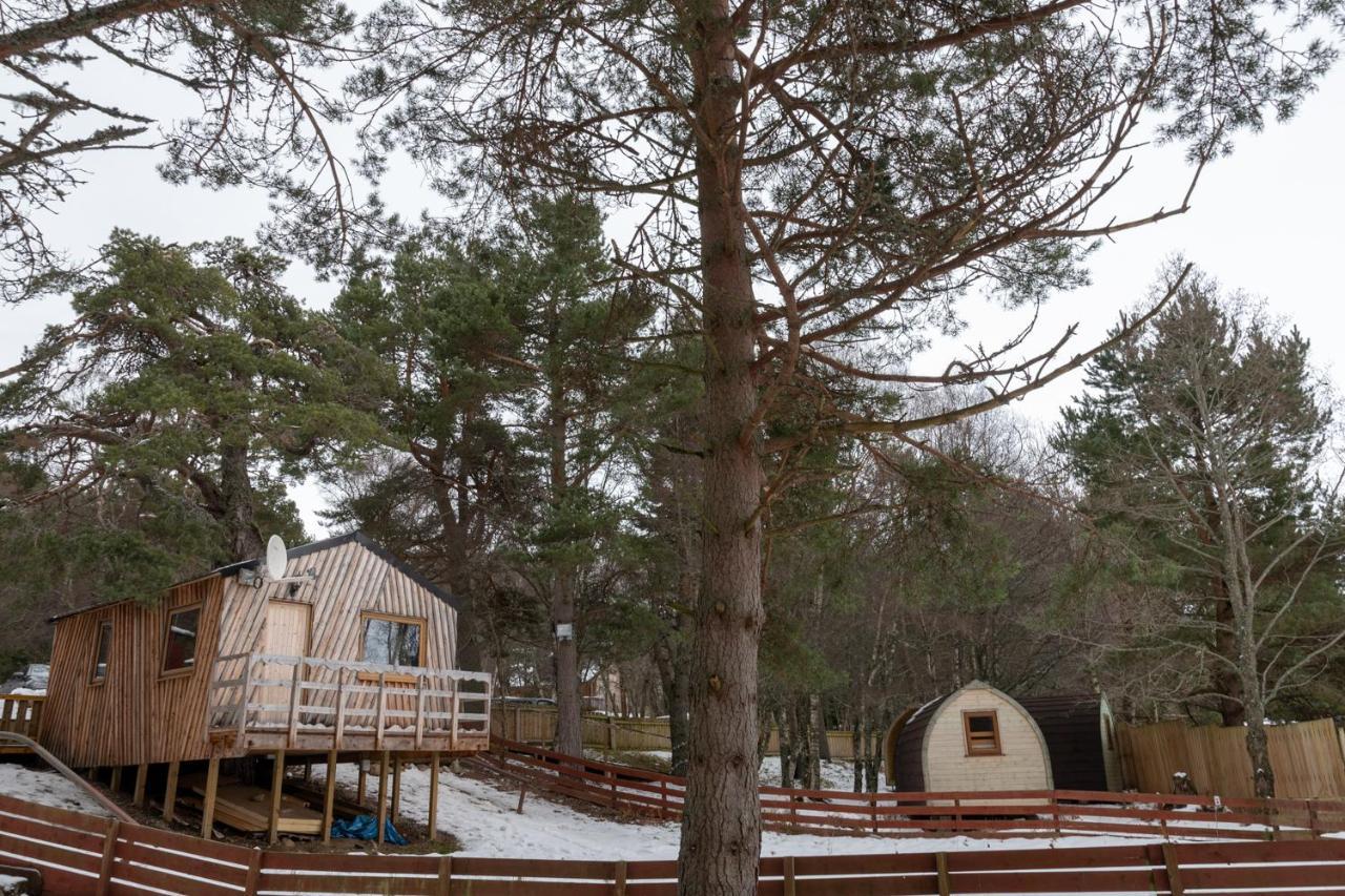 Pine Marten Bar Glenmore Treehouse Aviemore Extérieur photo